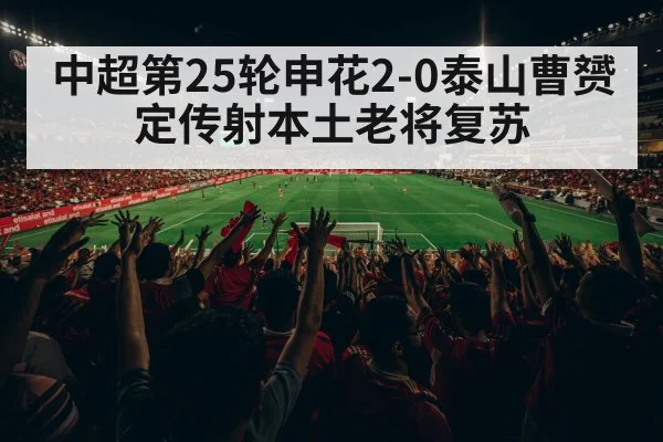 中超第25轮申花2-0泰山曹赟定传射本土老将复苏 | j9 game