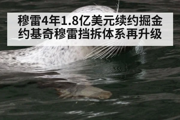 穆雷4年1.8亿美元续约掘金 约基奇穆雷挡拆体系再升级