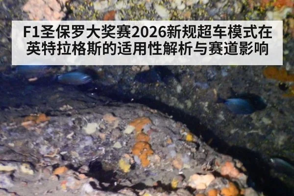 F1圣保罗大奖赛2026新规超车模式在英特拉格斯的适用性解析与赛道影响（j9 game）